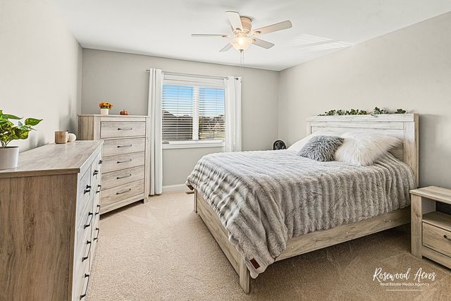 11453 Falls View Way, Frankfort, IL 60423