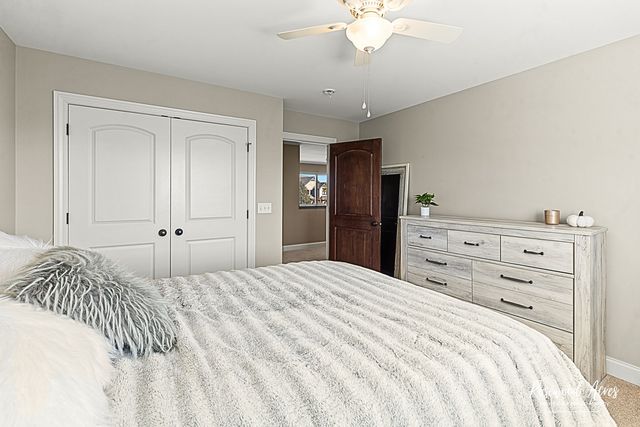 11453 Falls View Way, Frankfort, IL 60423