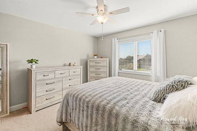 11453 Falls View Way, Frankfort, IL 60423