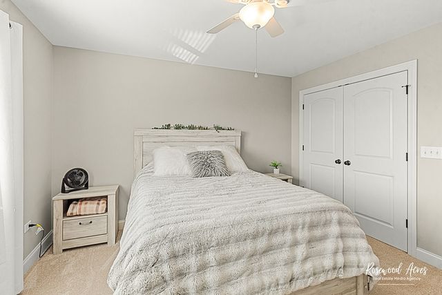 11453 Falls View Way, Frankfort, IL 60423