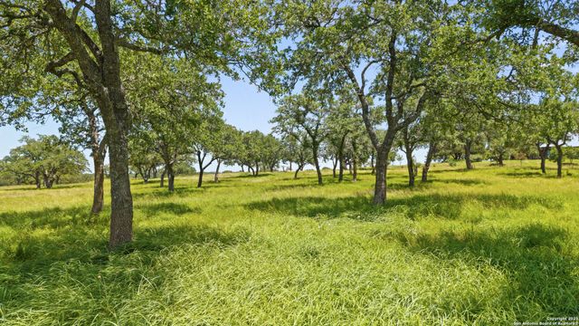 5059 Trainer Wuest, Blanco, TX 78606
