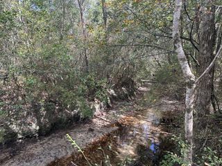 40 AC Lacey Lane, Crestview, FL 32536