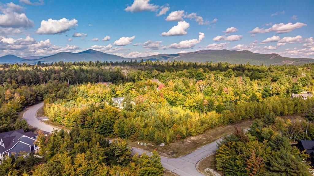 00 Grandview Road Lot #98 on tree, Conway, NH 03818