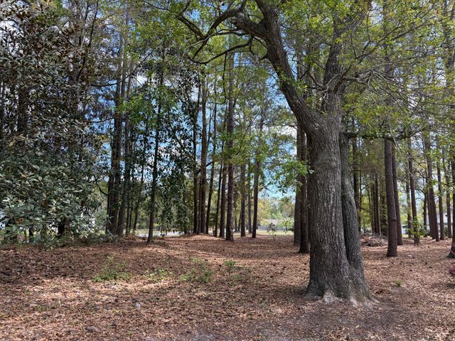 0 Otis Rd. & Longleaf Drive, Walterboro, SC 29488