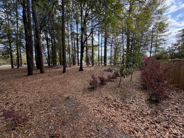 0 Otis Rd. & Longleaf Drive, Walterboro, SC 29488