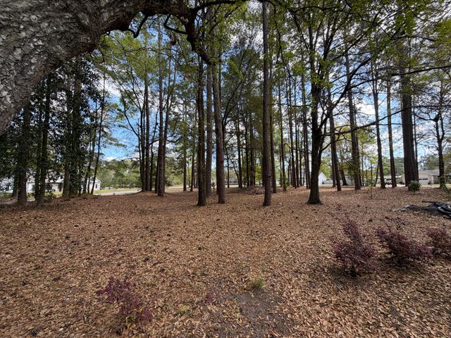 0 Otis Rd. & Longleaf Drive, Walterboro, SC 29488