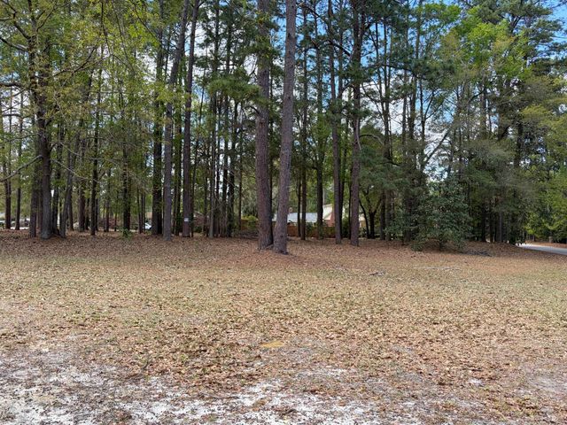0 Otis Rd. & Longleaf Drive, Walterboro, SC 29488