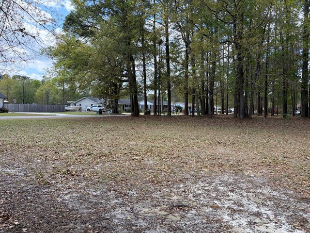 0 Otis Rd. & Longleaf Drive, Walterboro, SC 29488