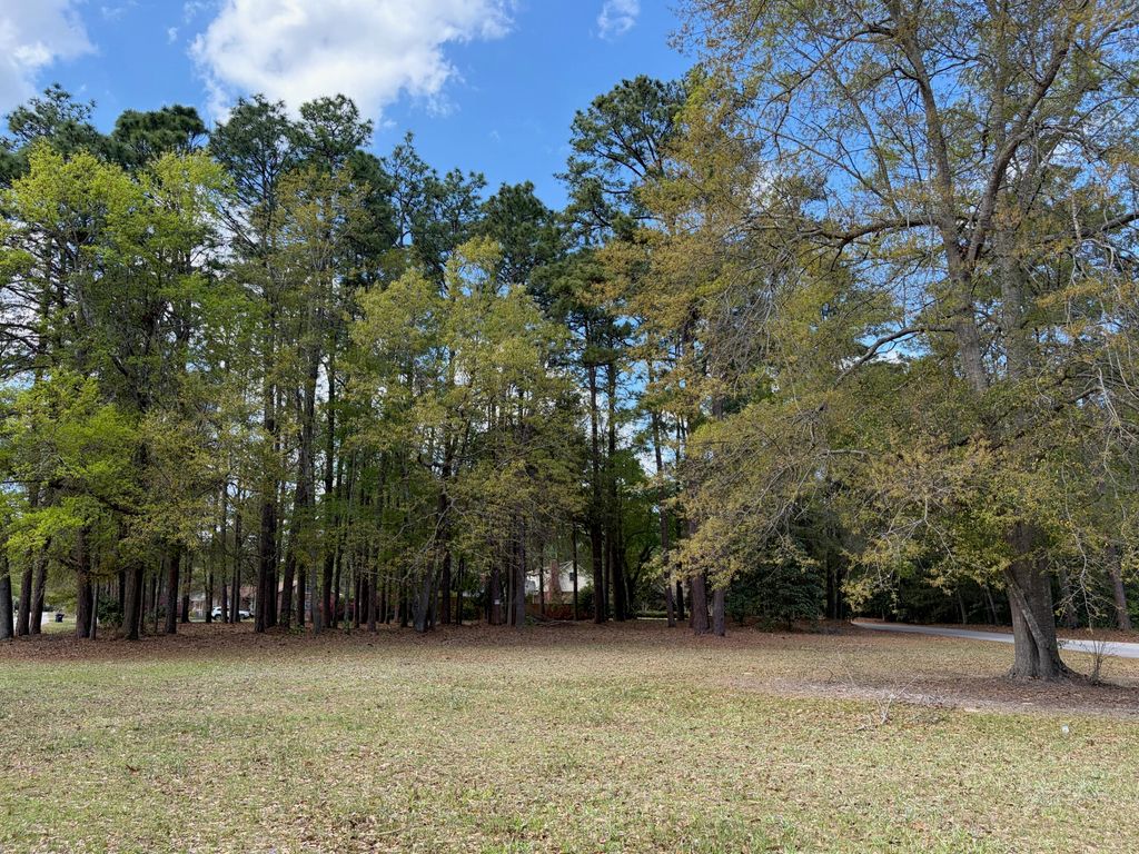 0 Otis Rd. & Longleaf Drive, Walterboro, SC 29488
