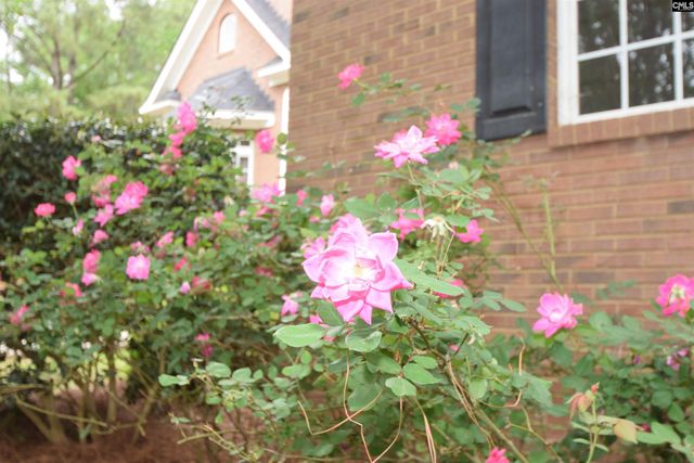 209 Kelsey Glen Drive, Lexington, SC 29072