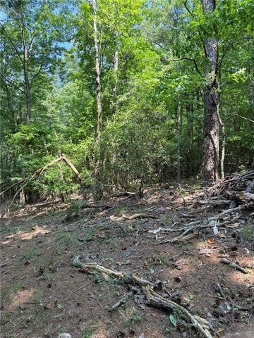 Lot 33 Jonathan Drive, Lowgap, NC 27024