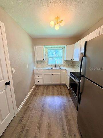 704 E RICHMERE STREET, Tampa, FL 33612