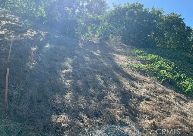 0 Palomar, La Habra Heights, CA 90631