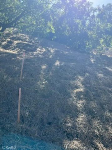 0 Palomar, La Habra Heights, CA 90631