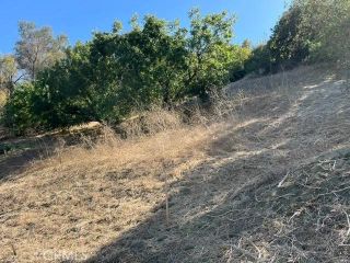 0 Palomar, La Habra Heights, CA 90631