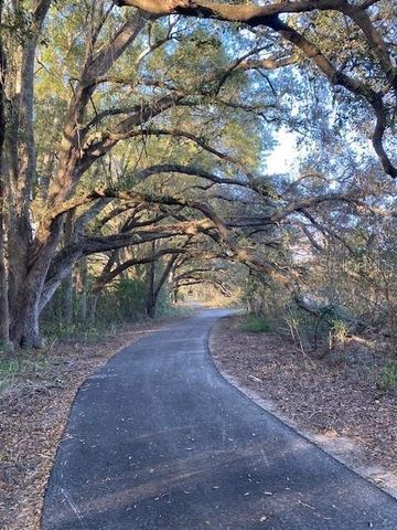 19379 SW 21ST PLACE, Newberry, FL 32669