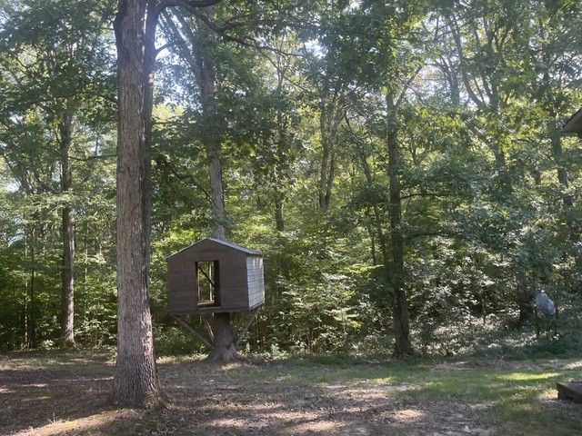 9320 Highway 69A, Big Sandy, TN 38221