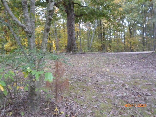 9320 Highway 69A, Big Sandy, TN 38221