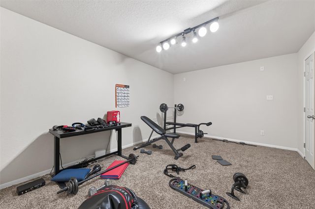 2343 Bright Sunrise Trail, Fresno, TX 77545