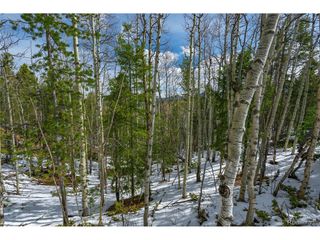 224 Deadwood Rd, Cripple Creek, CO 80813