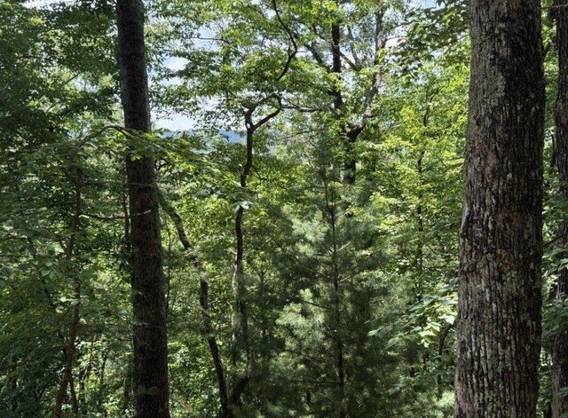 LT2607 Magnet Court, Ellijay, GA 30540