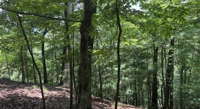 LT2607 Magnet Court, Ellijay, GA 30540