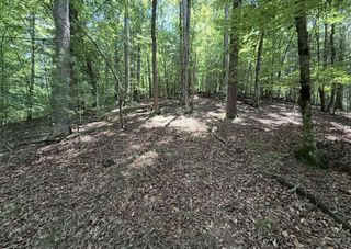 LT2607 Magnet Court, Ellijay, GA 30540