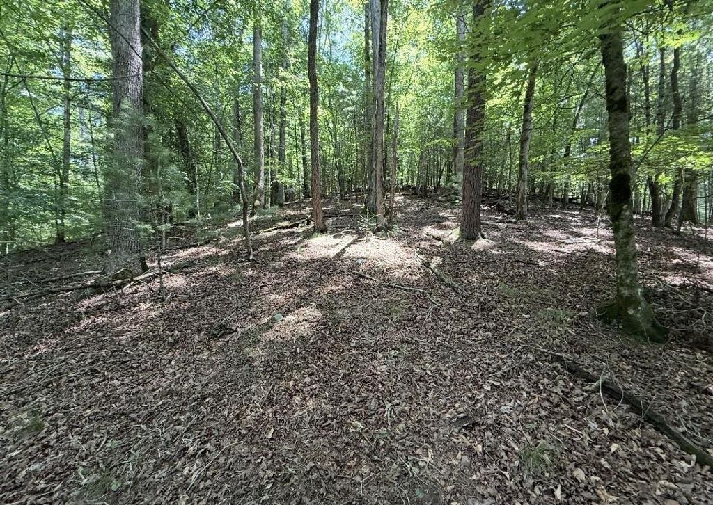 LT2607 Magnet Court, Ellijay, GA 30540