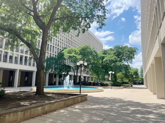 1401 E 55TH Street 815N, Chicago, IL 60615