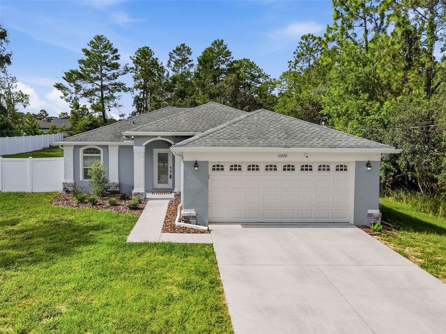 11370 MIRAGE AVENUE, Weeki Wachee, FL 34614