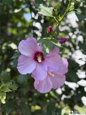 146 Sampson Street, Jamestown, NY 14701