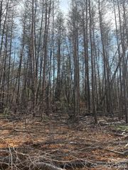 5317 Avenida De Oro Road 2.2, Morganton, NC 28655