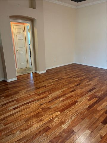 545 CARRERA DRIVE, Lady Lake, FL 32159