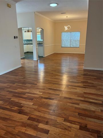 545 CARRERA DRIVE, Lady Lake, FL 32159