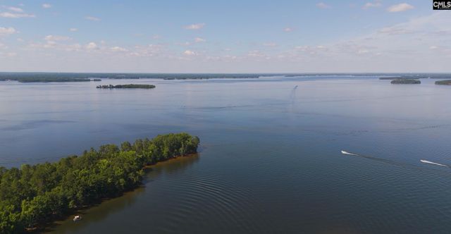 165 Livingston Woods Drive, Irmo, SC 29063