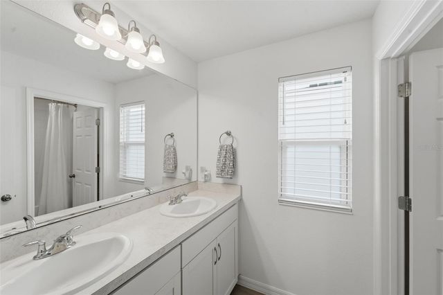 1255 WISPY CYPRESS DRIVE, Kissimmee, FL 34746