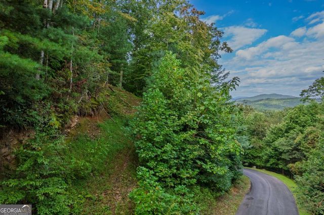 0 Dusty Danno Trail 25,27, Mineral Bluff, GA 30559