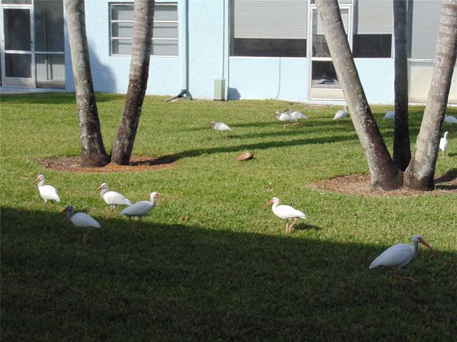 9788 Marina Boulevard 313, Boca Raton, FL 33428