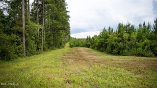 6198 Easley Road, Magnolia, MS 39652
