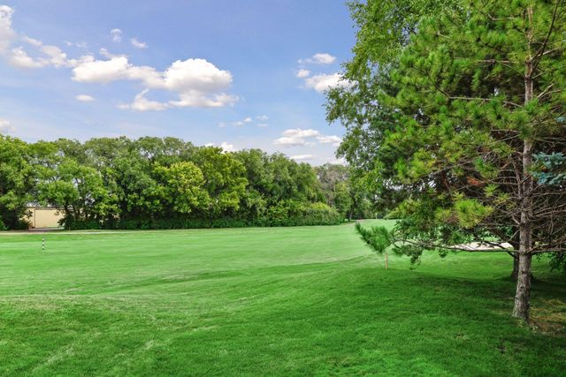 8972 Deer Run Drive, Victoria, MN 55386