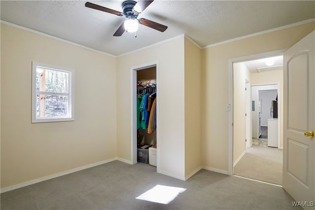 242 Sand Mountain, Centreville, AL 35042