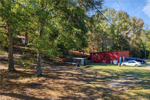 242 Sand Mountain, Centreville, AL 35042