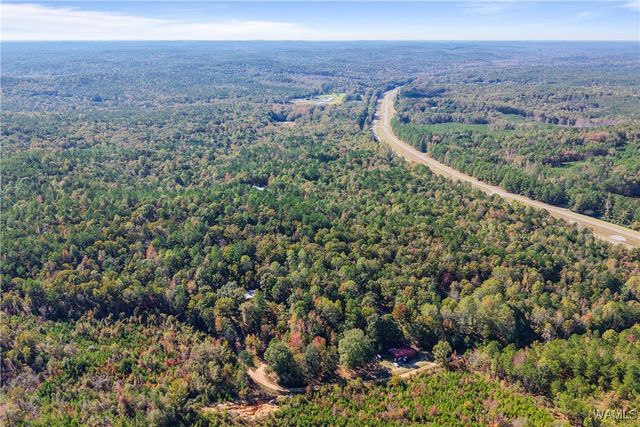 242 Sand Mountain, Centreville, AL 35042