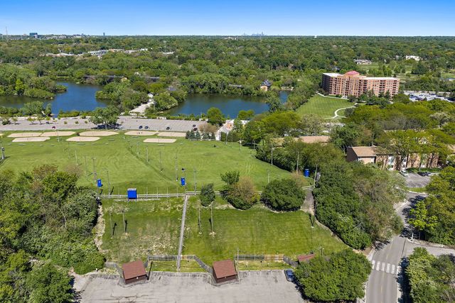 5803 Oakwood Drive C, Lisle, IL 60532