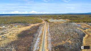 16047 McKinley Avenue, Willow, AK 99688