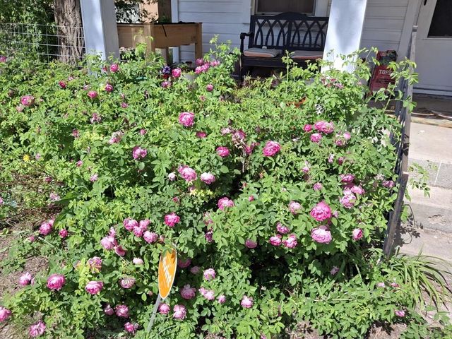 918 Adams Ave, La Junta, CO 81050