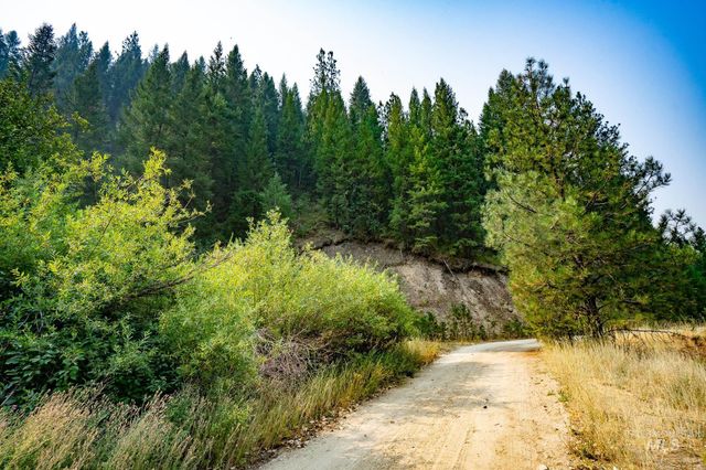TBD Forestland, Boise, ID 83716