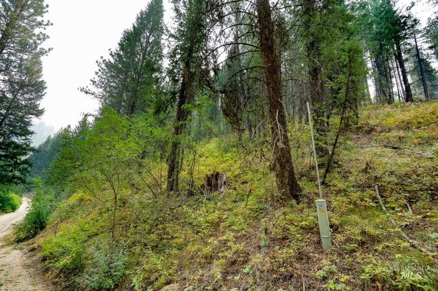 TBD Forestland, Boise, ID 83716