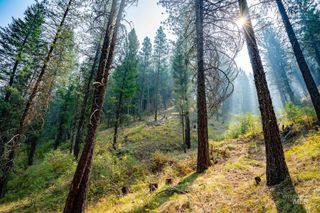TBD Forestland, Boise, ID 83716