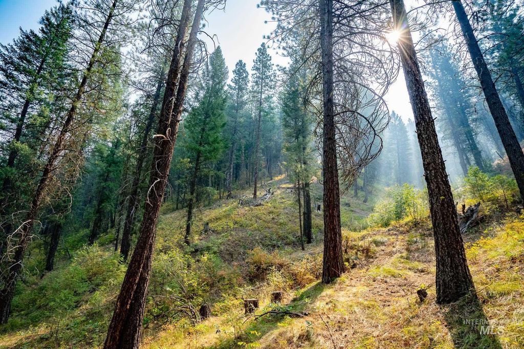 TBD Forestland, Boise, ID 83716